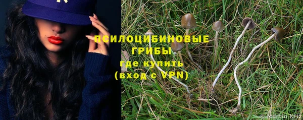 сатива Армянск