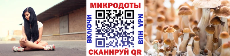Псилоцибиновые грибы Cubensis  Оленегорск 
